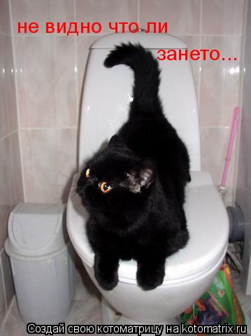 Котоматрица: зането... не видно что ли