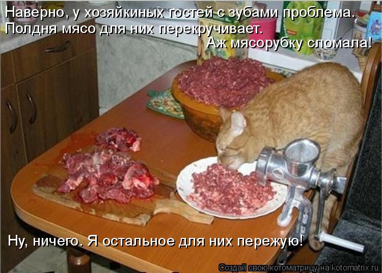 Котоматрица: Наверно, у хозяйкиных гостей с зубами проблема. Полдня мясо для них перекручивает.  Аж мясорубку сломала!  Ну, ничего. Я остальное для них пер