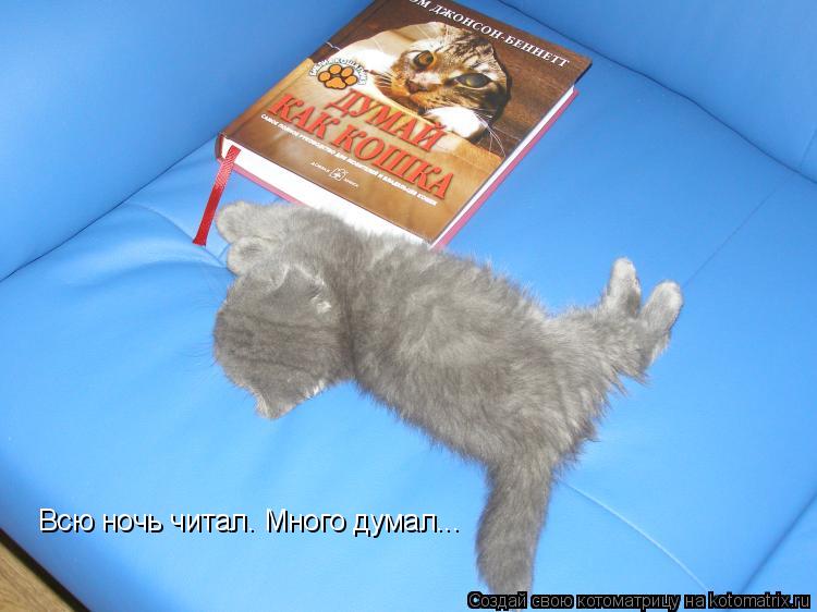 Всю ночь читал. Много думал...... Котоматрица: Всю ночь читал. Много думал...
