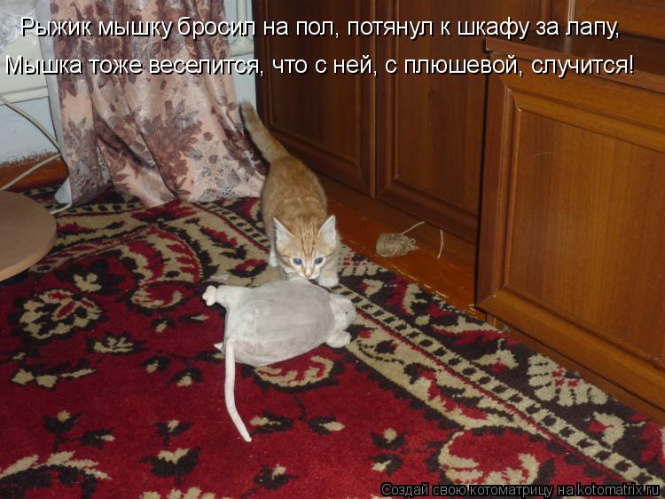 Котоматрица: Рыжик мышку бросил на пол, потянул к шкафу за лапу, Мышка тоже веселится, что с ней, с плюшевой, случится!