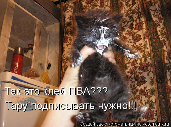 Котоматрица: Так это клей ПВА??? Тару подписывать нужно!!!