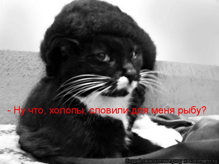 Котоматрица: - Ну что, холопы, словили для меня рыбу?