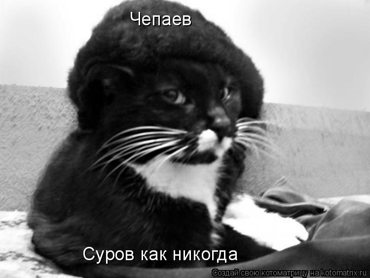 Котоматрица: Чепаев Суров как никогда