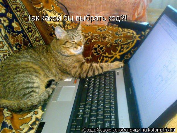 Котоматрица: Так какой бы выбрать код?!