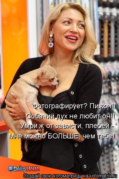 Фотографирует? Пижон!! Собачий дух не любит он!! Умри ж от зависти, плебей - Мне можно БОЛЬШЕ, чем те... Котоматрица: Фотографирует? Пижон!! Собачий дух не любит он!! Умри ж от зависти, плебей - Мне можно БОЛЬШЕ, чем тебе!