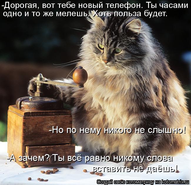 Котоматрица: -Но по нему никого не слышно! -А зачем? Ты всё равно никому слова  вставить не даёшь!  -Дорогая, вот тебе новый телефон. Ты часами  одно и то же м