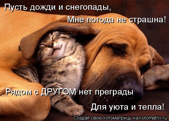 Пусть дожди и снегопады, Мне погода не страшна! Рядом с ДРУГОМ нет преграды Для уюта и тепла!... Котоматрица: Пусть дожди и снегопады, Мне погода не страшна! Рядом с ДРУГОМ нет преграды Для уюта и тепла!