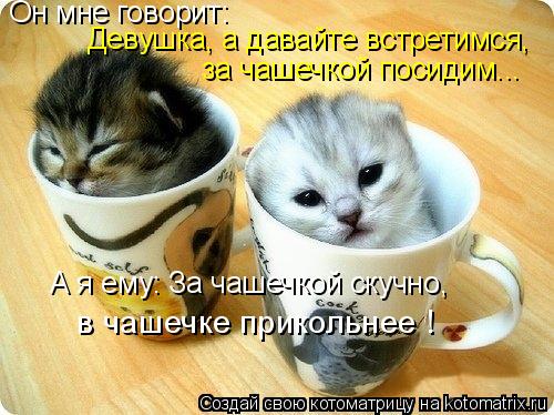 Котоматрица: Он мне говорит: Девушка, а давайте встретимся, за чашечкой посидим... А я ему: За чашечкой скучно, в чашечке прикольнее !