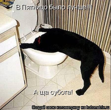 Котоматрица: В Пятницо было лучше!!! А ща субота!