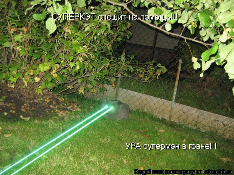 Котоматрица: СУПЕРКЭТ спешит на помощь!!! УРА супермэн в говне!!!