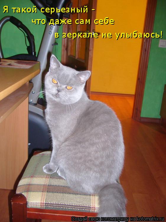 Я такой серьезный - что даже сам себе в зеркале не улыбаюсь!... Котоматрица: Я такой серьезный - что даже сам себе в зеркале не улыбаюсь!