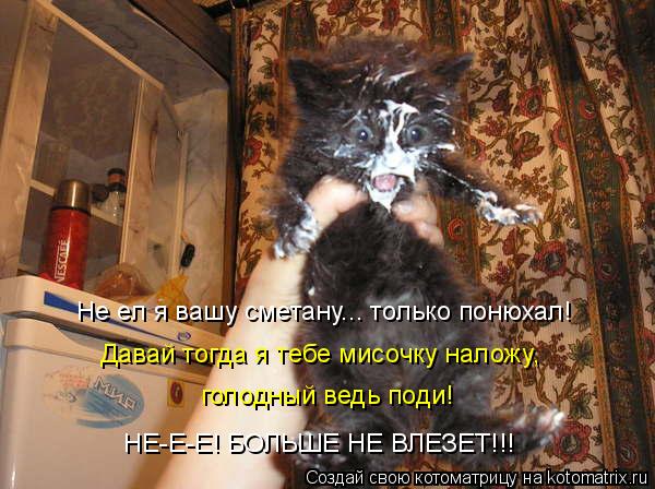 Не ел я вашу сметану... только понюхал! Давай тогда я тебе мисочку наложу, голодный ведь поди! НЕ-Е-... Котоматрица: Не ел я вашу сметану... только понюхал! Давай тогда я тебе мисочку наложу, голодный ведь поди! НЕ-Е-Е! БОЛЬШЕ НЕ ВЛЕЗЕТ!!!