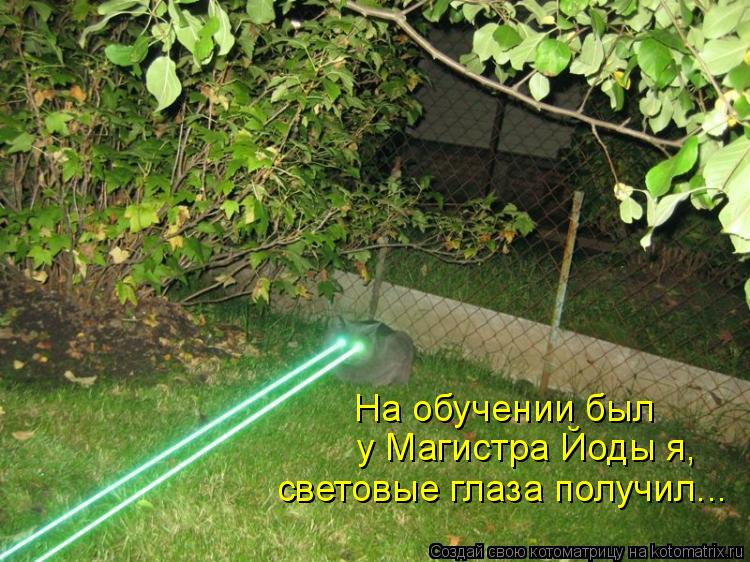 На обучении был у Магистра Йоды я, световые глаза получил...... Котоматрица: На обучении был у Магистра Йоды я, световые глаза получил...