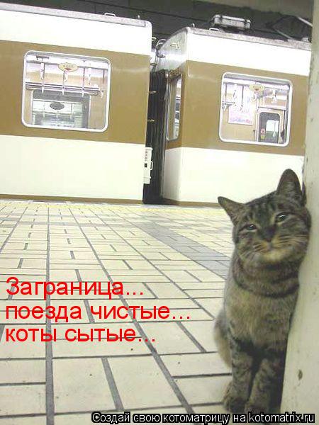 Котоматрица: Заграница... поезда чистые... коты сытые...