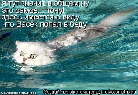 Котоматрица: я тут значит в общем,ну это самое... тону! здесь имеется в виду  что Васёк попал в беду