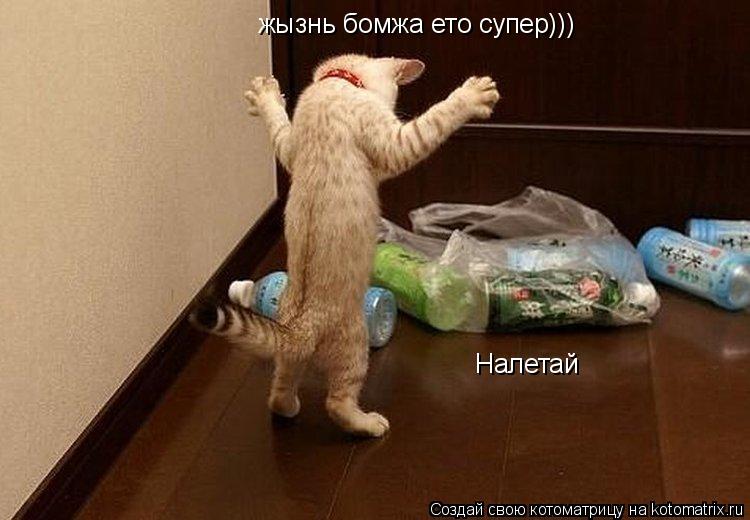 Котоматрица: жызнь бомжа ето супер))) Налетай