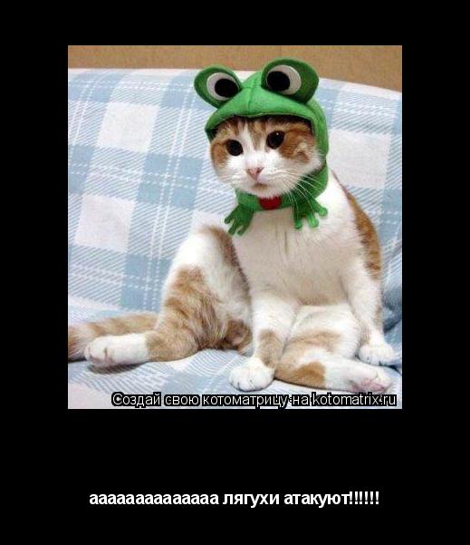 пятница 13 аааааааааааааа лягухи атакуют!!!!!!... Котоматрица: пятница 13 аааааааааааааа лягухи атакуют!!!!!!