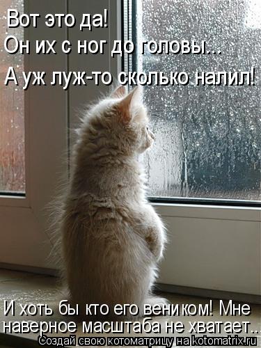 Вот это да! Он их с ног до головы... И хоть бы кто его веником! Мне наверное масштаба не хватает... ... Котоматрица: Вот это да! Он их с ног до головы... И хоть бы кто его веником! Мне наверное масштаба не хватает... А уж луж-то сколько налил!