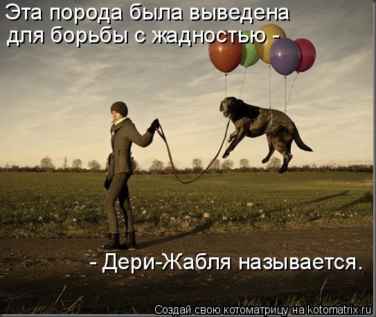 Котоматрица: Эта порода была выведена  для борьбы с жадностью -  - Дери-Жабля называется.
