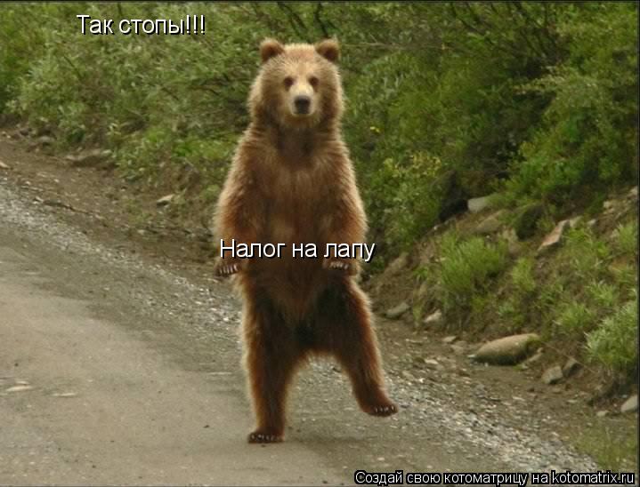 Котоматрица: Так стопы!!! Налог на лапу