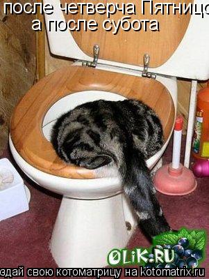 после четверча Пятницо а после субота... Котоматрица: после четверча Пятницо а после субота