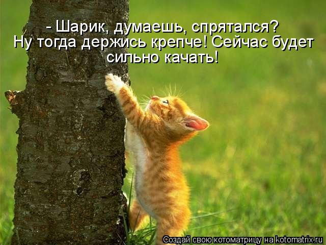 - Шарик, думаешь, спрятался? Ну тогда держись крепче! Сейчас будет сильно качать!... Котоматрица: - Шарик, думаешь, спрятался? Ну тогда держись крепче! Сейчас будет сильно качать!