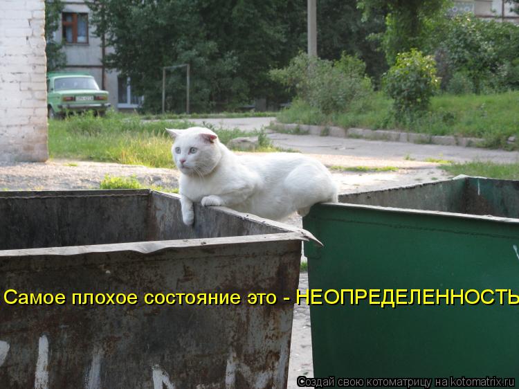 Котоматрица: Самое плохое состояние это - НЕОПРЕДЕЛЕННОСТЬ
