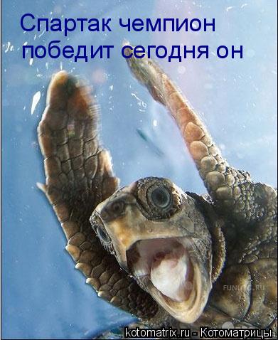 Котоматрица: Спартак чемпион  победит сегодня он