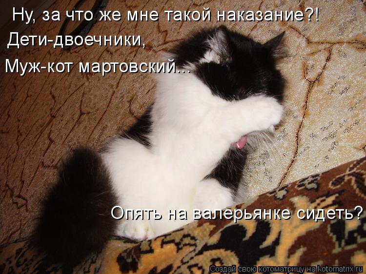 Котоматрица: Ну, за что же мне такой наказание?! Опять на валерьянке сидеть? Дети-двоечники, Муж-кот мартовский...