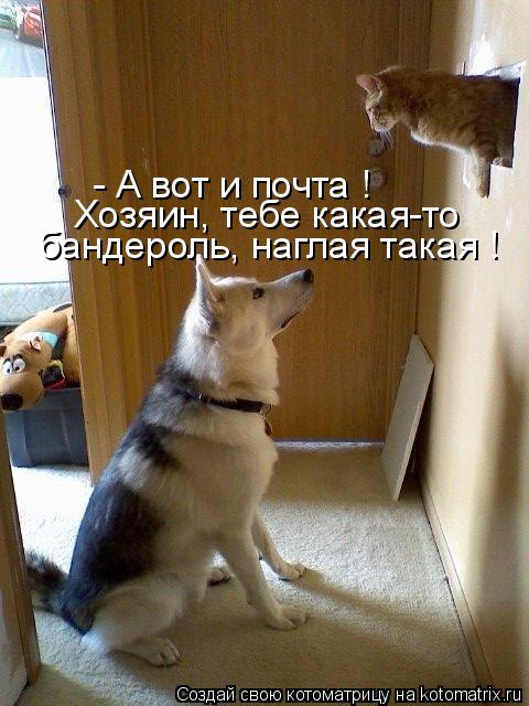- А вот и почта ! Хозяин, тебе какая-то бандероль, наглая такая !... Котоматрица: - А вот и почта ! Хозяин, тебе какая-то бандероль, наглая такая !