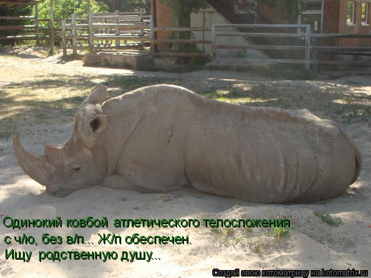 Одинокий ковбой атлетического телосложения с ч/ю, без в/п... Ж/п обеспечен. Ищу родственную душу...... Котоматрица: Одинокий ковбой атлетического телосложения с ч/ю, без в/п... Ж/п обеспечен. Ищу родственную душу...