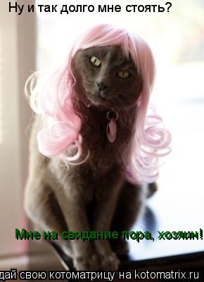 Ну и так долго мне стоять? Мне на свидание пора, хозяин!... Котоматрица: Ну и так долго мне стоять? Мне на свидание пора, хозяин!
