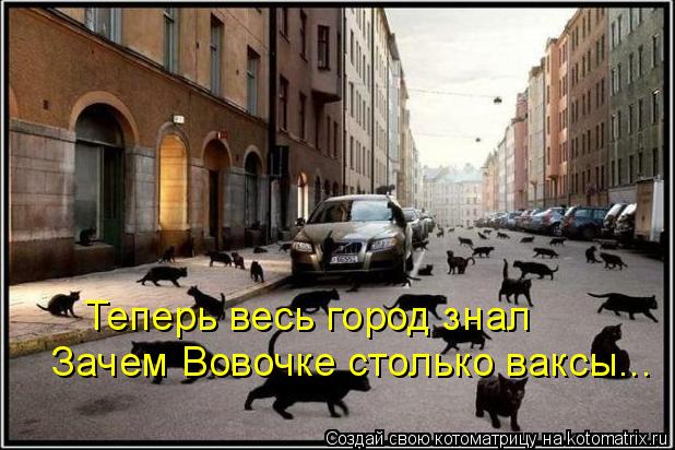 Теперь весь город знал Зачем Вовочке столько ваксы...... Котоматрица: Теперь весь город знал Зачем Вовочке столько ваксы...
