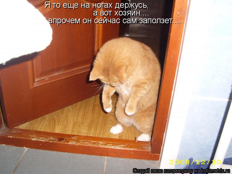 Котоматрица: Я то еще на ногах держусь, а вот хозяин.... впрочем он сейчас сам заползет....