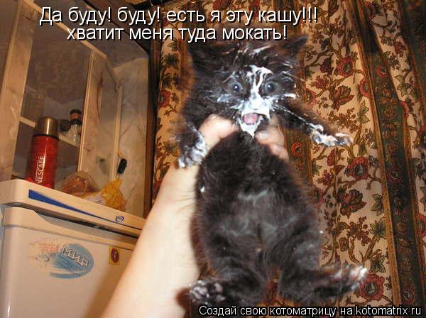 Котоматрица: Да буду! буду! есть я эту кашу!!! хватит меня туда мокать!