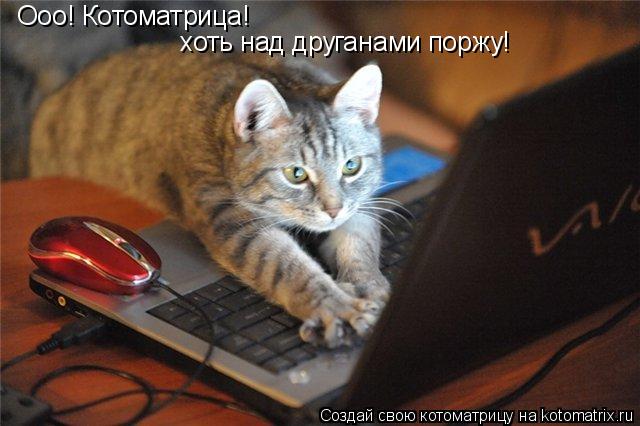 Ооо! Котоматрица! хоть над друганами поржу!... Котоматрица: Ооо! Котоматрица! хоть над друганами поржу!
