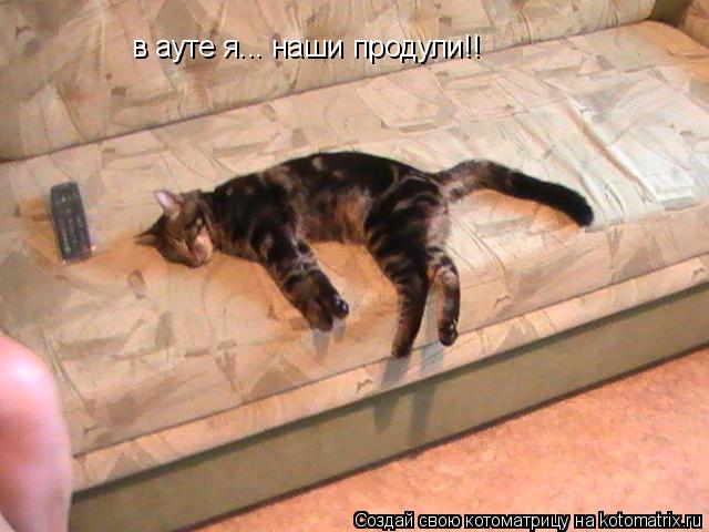 в ауте я... наши продули!!... Котоматрица: в ауте я... наши продули!!