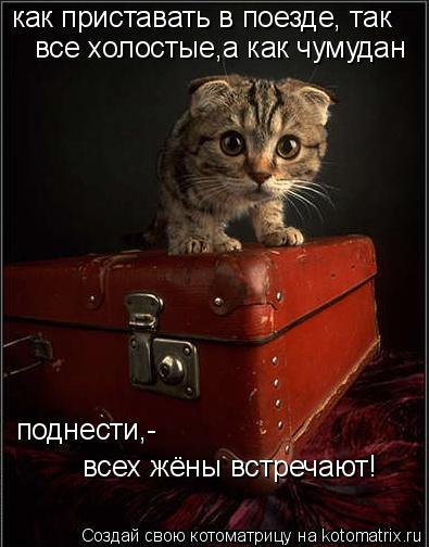 Котоматрица: как приставать в поезде, так все холостые,а как чумудан поднести,- всех жёны встречают!