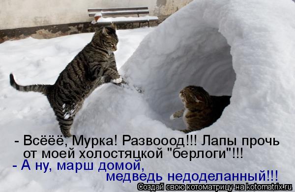 - Всёёё, Мурка! Развооод!!! Лапы прочь от моей холостяцкой "берлоги"!!! - А ну, марш домой, медведь... Котоматрица: - Всёёё, Мурка! Развооод!!! Лапы прочь от моей холостяцкой "берлоги"!!! - А ну, марш домой, медведь недоделанный!!!
