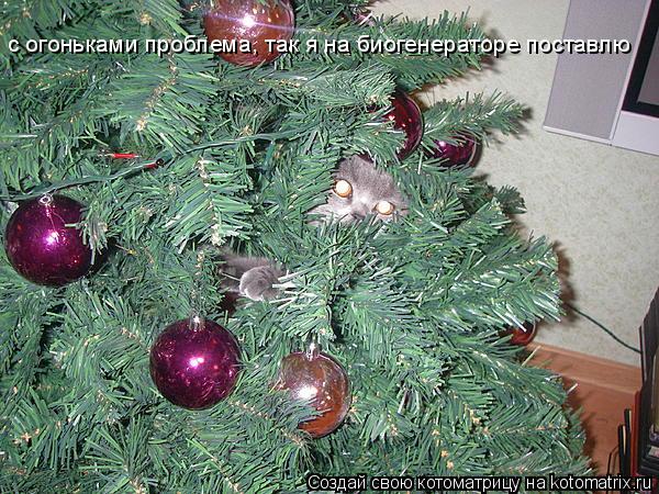 Котоматрица: с огоньками проблема, так я на биогенераторе поставлю