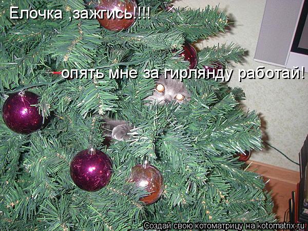 Котоматрица: Елочка ,зажгись!!!! опять мне за гирлянду работай!