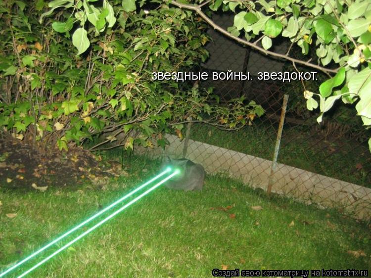 Котоматрица: звездные войны. звездокот.