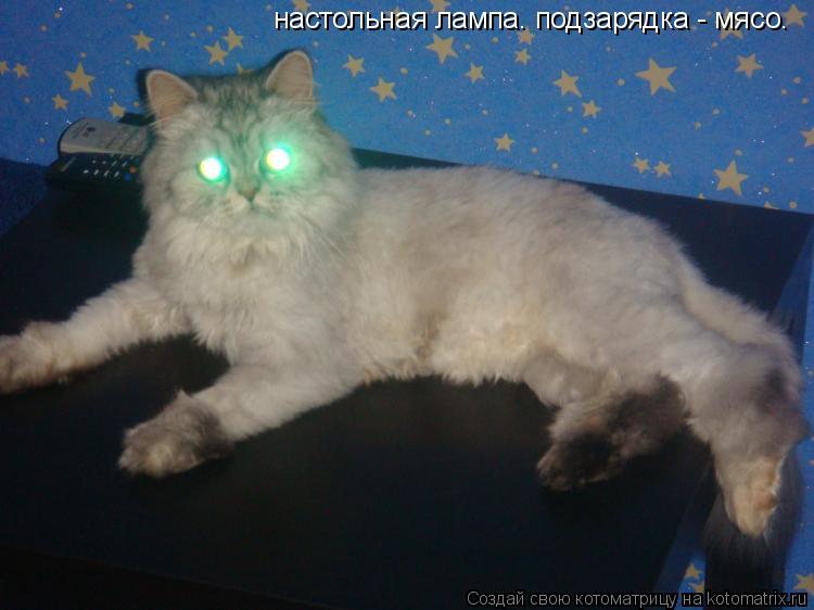 Котоматрица: настольная лампа. подзарядка - мясо.