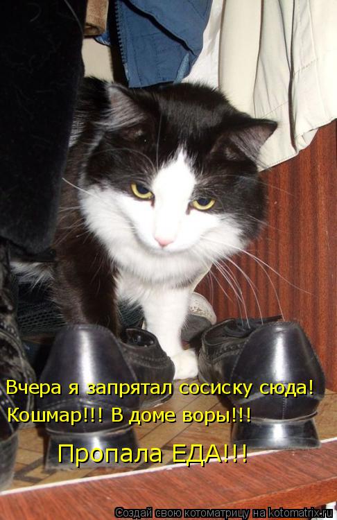 Вчера я запрятал сосиску сюда! Кошмар!!! В доме воры!!! Пропала ЕДА!!!... Котоматрица: Вчера я запрятал сосиску сюда! Кошмар!!! В доме воры!!! Пропала ЕДА!!!