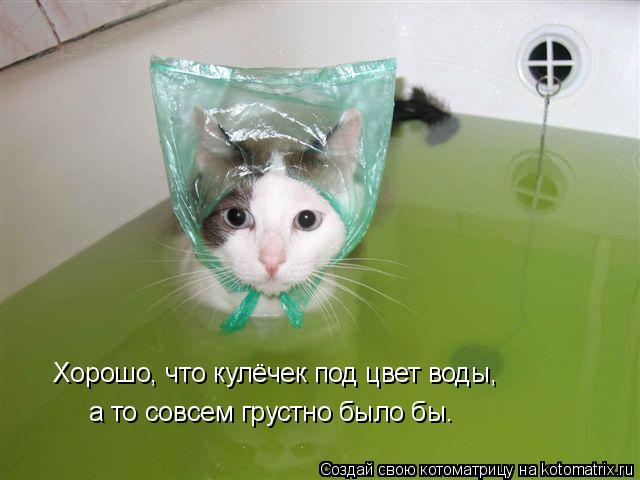 Котоматрица: Хорошо, что кулёчек под цвет воды, а то совсем грустно было бы.