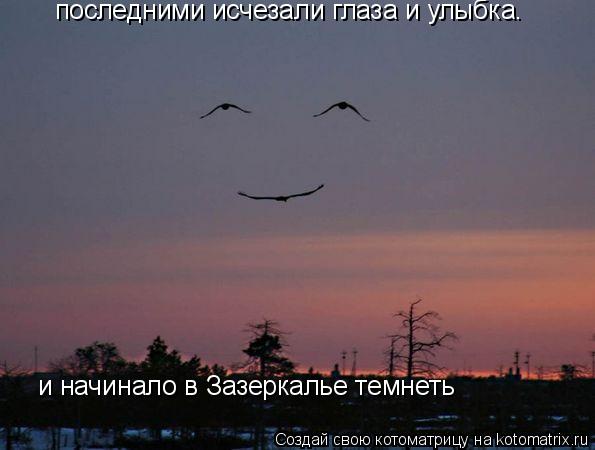 Котоматрица: последними исчезали глаза и улыбка. и начинало в Зазеркалье темнеть