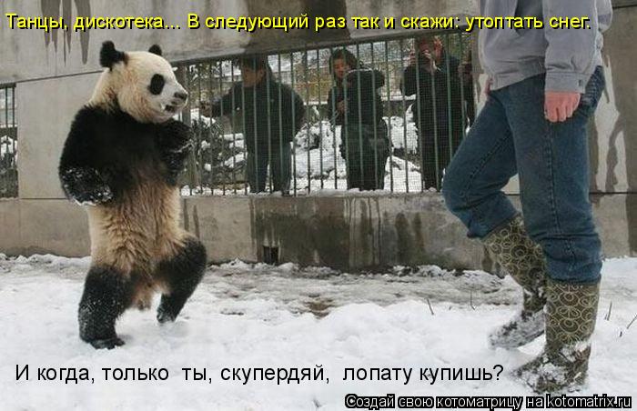 Котоматрица: Танцы, дискотека... В следующий раз так и скажи: утоптать снег.  И когда, только  ты, скупердяй,  лопату купишь?