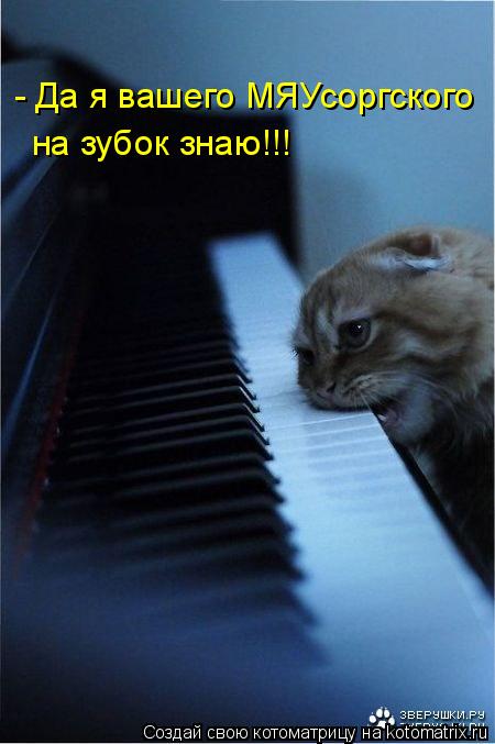 - Да я вашего МЯУсоргского на зубок знаю!!!... Котоматрица: - Да я вашего МЯУсоргского на зубок знаю!!!