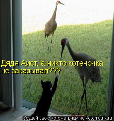 Дядя Аист, а никто котеночка не заказывал???... Котоматрица: Дядя Аист, а никто котеночка не заказывал???
