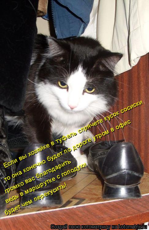 Если вы хозяйке в туфель спрячете кусок сосиски то она конечно будет по дороге утром в офис громко ва... Котоматрица: Если вы хозяйке в туфель спрячете кусок сосиски то она конечно будет по дороге утром в офис громко вас благодарить ведь в маршрутке с голод